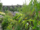 Ingleton Viaduct